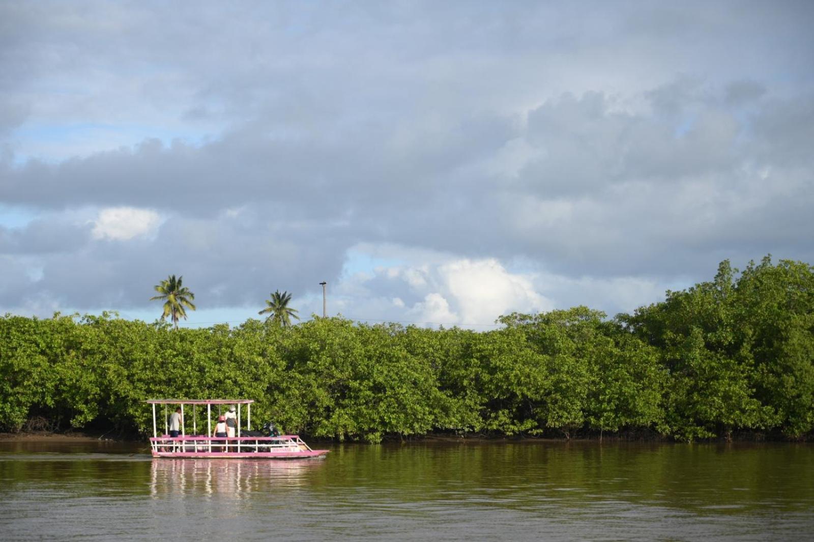 Bangalo Verde Recanto Uana - 280M Praia Tatuamunha Maceio  Exterior photo
